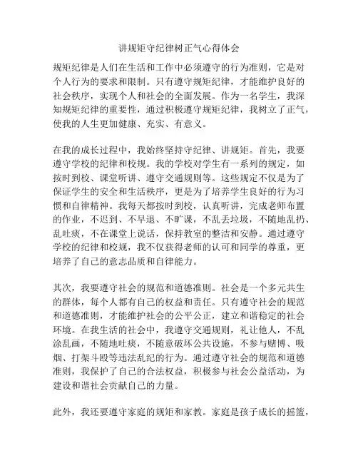 讲规矩守纪律树正气心得体会