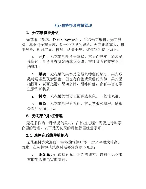 无花果特征及种植管理