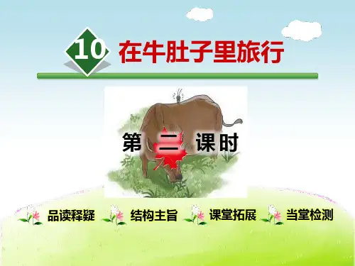 《在牛肚子里旅行》PPT-模板(第二课时)