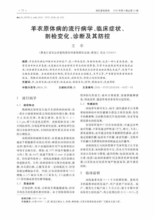 羊衣原体病的流行病学、临床症状、剖检变化、诊断及其防控