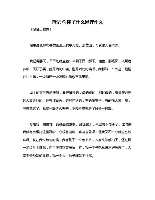 游记 你懂了什么道理作文