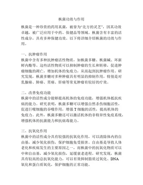 枞菌功效与作用
