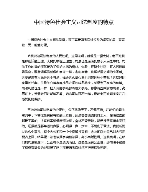 中国特色社会主义司法制度的特点