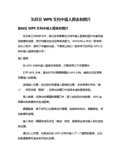 怎样在WPS文档中插入图表和图片
