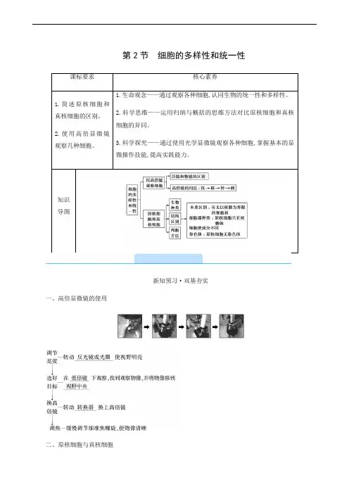 人教版高中生物同步学案 细胞的多样性和统一性