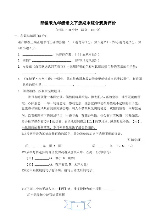 部编版九年级语文下册期末综合素质评价 附答案 (1)