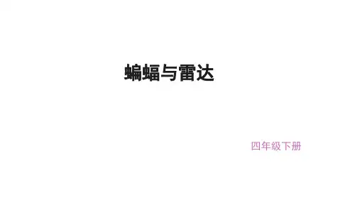 (赛课课件)四年级下册语文《蝙蝠与雷达》(共28张PPT)