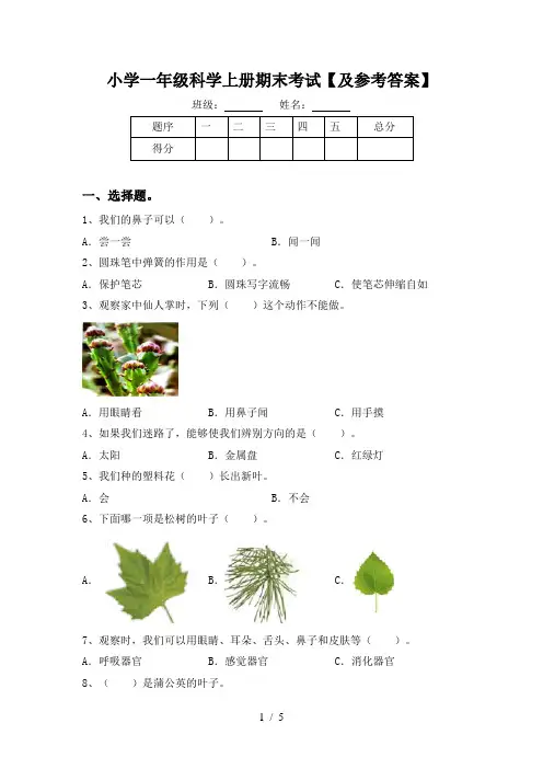 小学一年级科学上册期末考试【及参考答案】