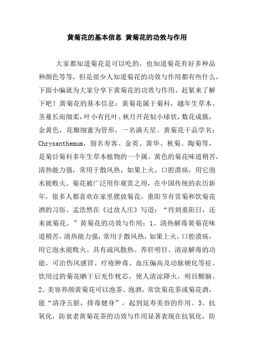 黄菊花的基本信息 黄菊花的功效与作用_0