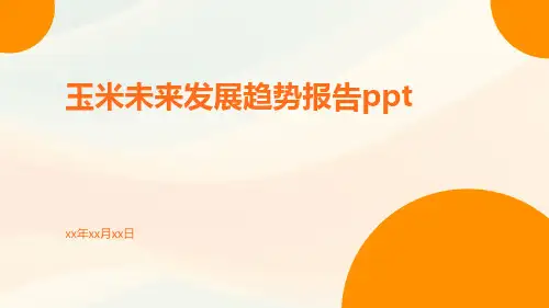 玉米未来发展趋势报告PPT