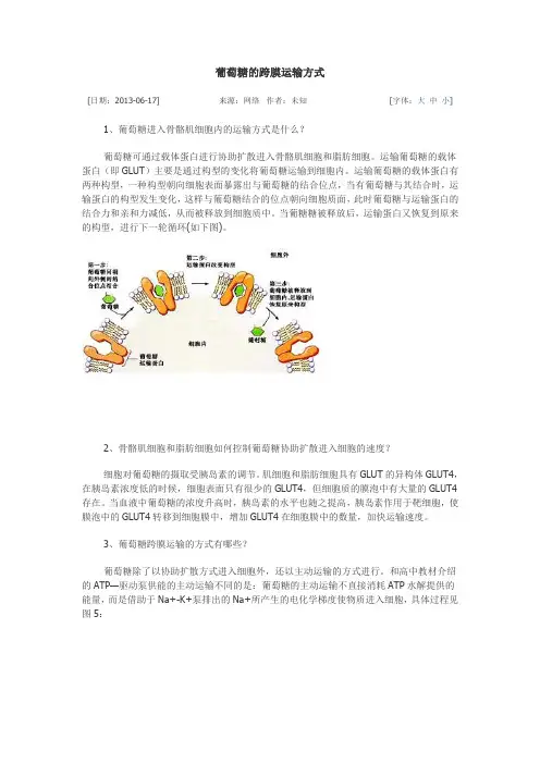 葡萄糖的跨膜运输方式