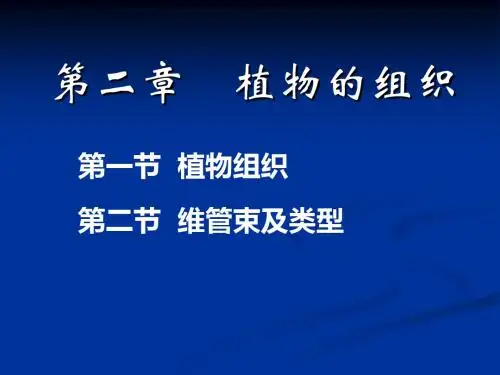 ok药用植物学第二章植物物组织