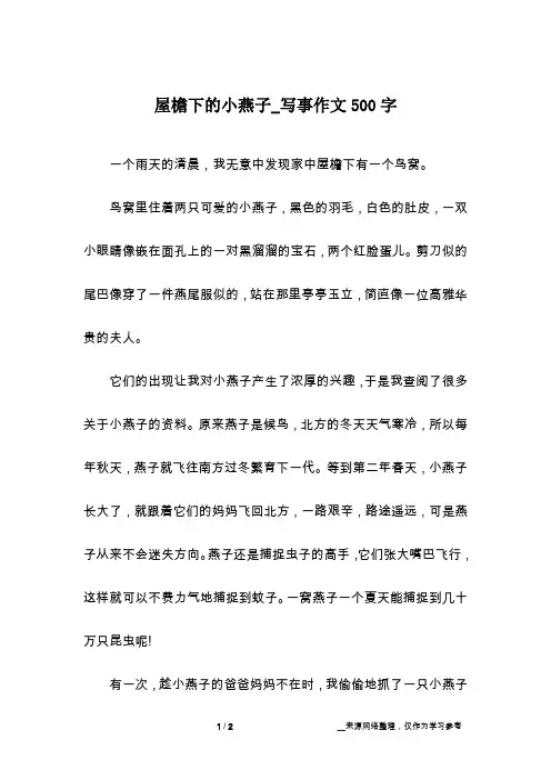 屋檐下的小燕子_写事作文500字