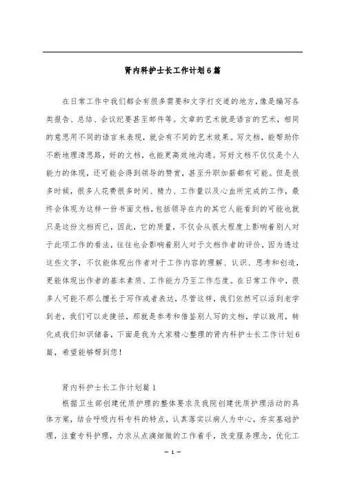 肾内科护士长工作计划6篇