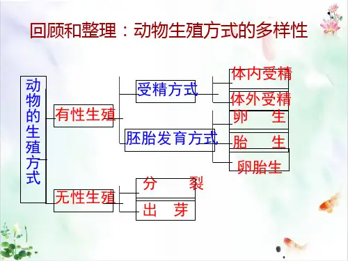 植物的一生-共课ppt