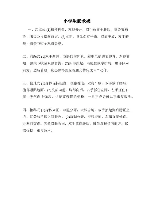 小学生武术操