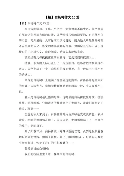 白杨树作文13篇