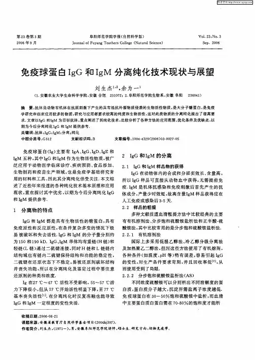 免疫球蛋白IgG和IgM分离纯化技术现状与展望
