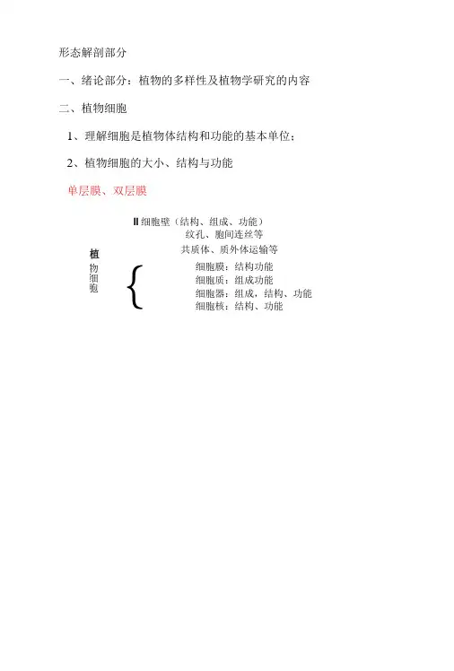 植物学总结资料