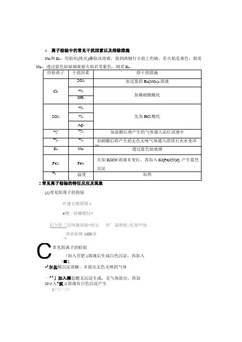 专题：离子检验与离子推断