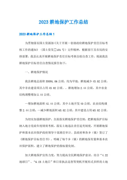 2023耕地保护工作总结