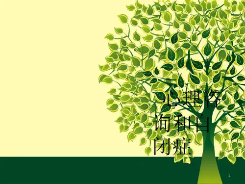 自闭症儿童的教育与家庭护理ppt课件