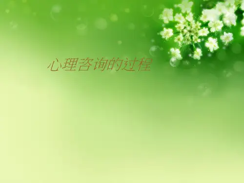 心理咨询的过程优秀课件