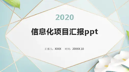 信息化项目汇报ppt