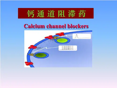 药理学课件钙拮抗药钙通道阻滞药