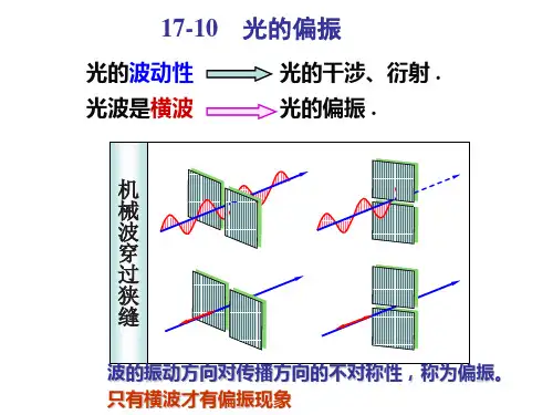 第十七章-波动光学偏振