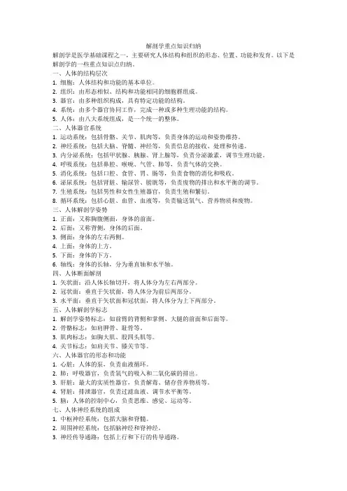 解剖学重点知识归纳
