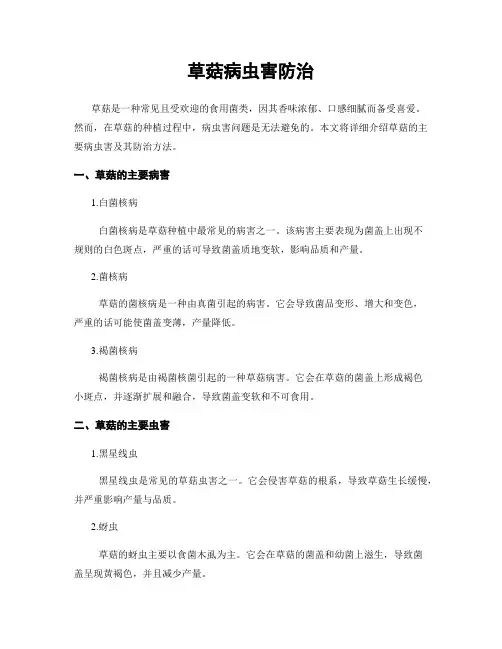 草菇病虫害防治