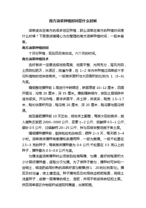 南方油菜种植时间是什么时候