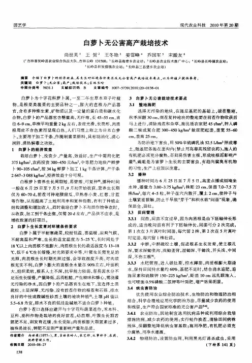白萝卜无公害高产栽培技术
