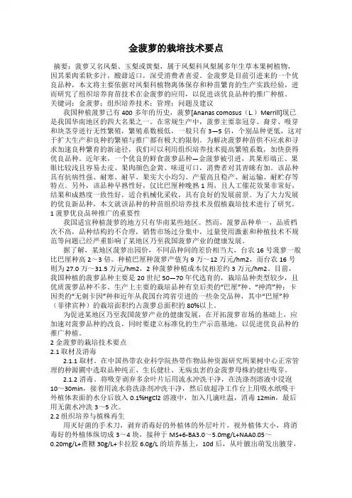 金菠萝的栽培技术要点
