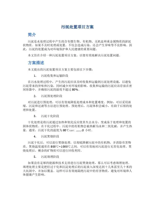 污泥处置项目方案