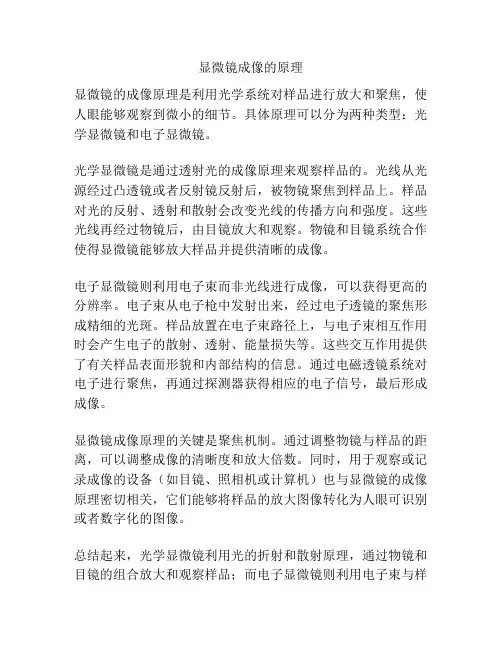 显微镜成像的原理
