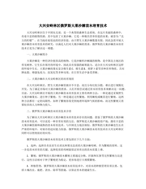 大兴安岭林区俄罗斯大果沙棘苗木培育技术
