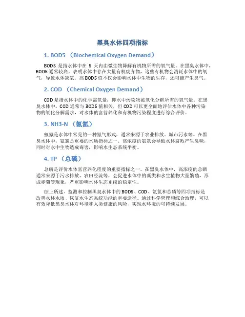 黑臭水体四项指标