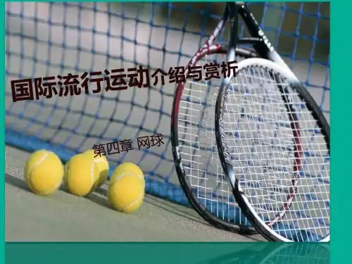 国际流行运动介绍与赏析网球