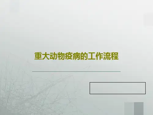 重大动物疫病的工作流程51页PPT