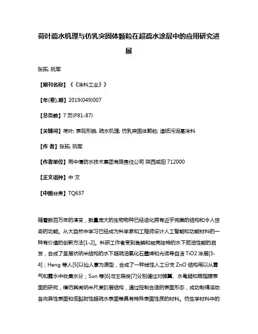 荷叶疏水机理与仿乳突固体颗粒在超疏水涂层中的应用研究进展