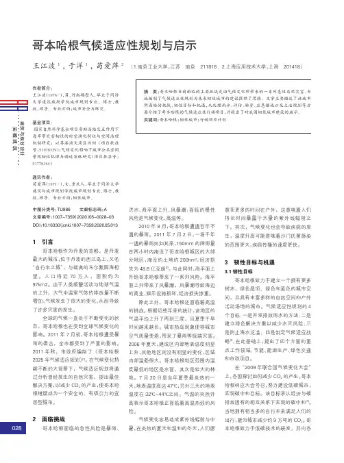 哥本哈根气候适应性规划与启示