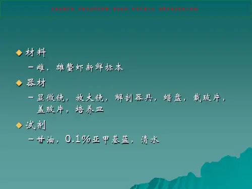 鳌虾的外形和内部解剖观察课件