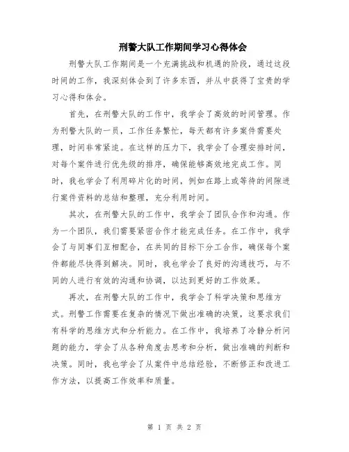 刑警大队工作期间学习心得体会