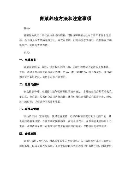 青菜养殖方法和注意事项