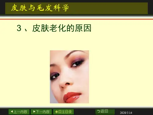 皮肤与毛发科学PPT课件