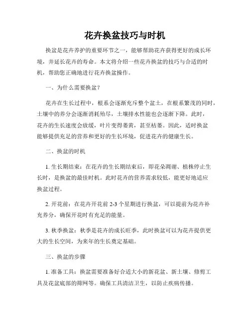 花卉换盆技巧与时机