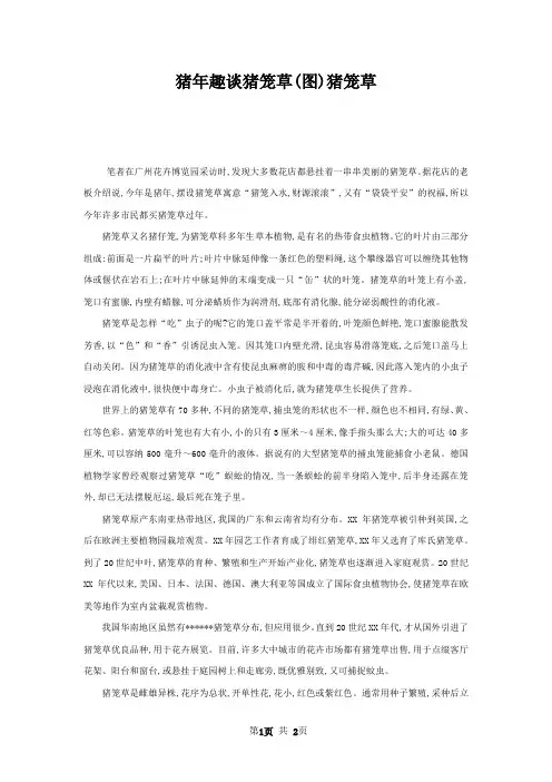 猪年趣谈猪笼草(图)猪笼草