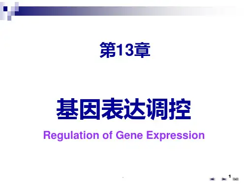基因表达调控原理PPT课件